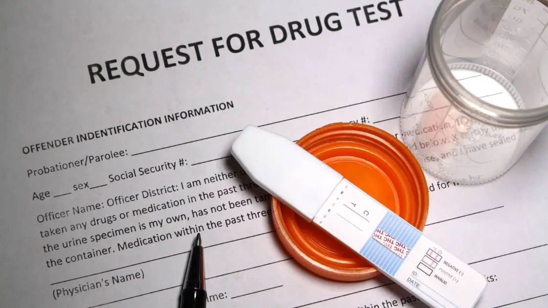 Can a Landlord Drug Test a Tenant? [Answered with Analysis]
